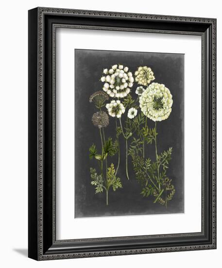 Bookplate Floral II-Naomi McCavitt-Framed Premium Giclee Print
