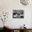 Books for a School Library Being Unpacked by New Jersey High School Kids on the Librarian's Holiday-null-Photographic Print displayed on a wall