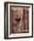 Books of Wine-James Wiens-Framed Art Print