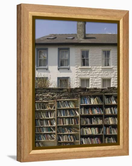 Bookstalls, Hay on Wye, Powys, Mid-Wales, Wales, United Kingdom-David Hughes-Framed Premier Image Canvas