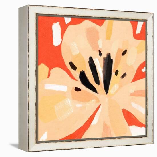 Boomin' Bloom II-Annie Warren-Framed Stretched Canvas