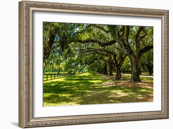 Boone Hall-Bill Carson Photography-Framed Photographic Print