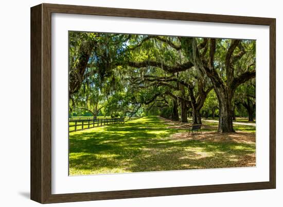 Boone Hall-Bill Carson Photography-Framed Photographic Print