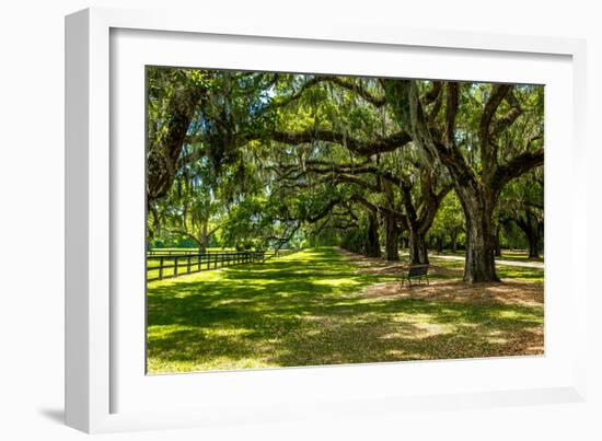 Boone Hall-Bill Carson Photography-Framed Photographic Print