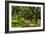 Boone Hall-Bill Carson Photography-Framed Photographic Print