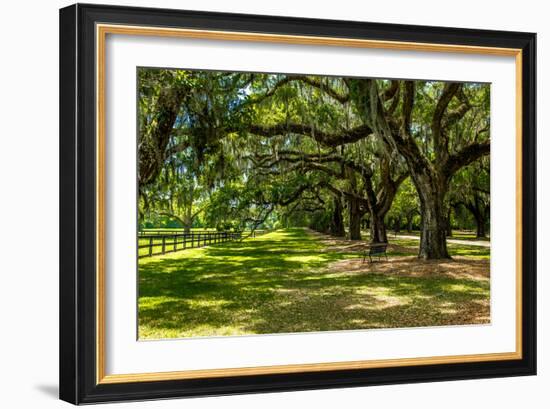 Boone Hall-Bill Carson Photography-Framed Photographic Print