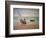 Boote Bei Ebbe Am Strand Von Grandcamp, 1885-Georges Seurat-Framed Giclee Print