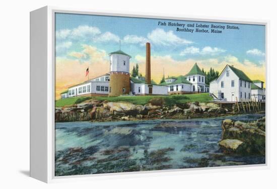Boothbay Harbor, ME - View of a Fish Hatchery, Lobster Rearing Station-Lantern Press-Framed Stretched Canvas