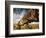 Boots-Derek Jecxz-Framed Art Print