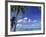 Bora Bora Island, French Polynesia So Pacific-Mitch Diamond-Framed Photographic Print