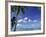 Bora Bora Island, French Polynesia So Pacific-Mitch Diamond-Framed Photographic Print