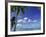 Bora Bora Island, French Polynesia So Pacific-Mitch Diamond-Framed Photographic Print