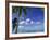 Bora Bora Island, French Polynesia So Pacific-Mitch Diamond-Framed Photographic Print