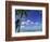 Bora Bora Island, French Polynesia So Pacific-Mitch Diamond-Framed Photographic Print