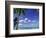 Bora Bora Island, French Polynesia So Pacific-Mitch Diamond-Framed Photographic Print