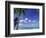 Bora Bora Island, French Polynesia So Pacific-Mitch Diamond-Framed Photographic Print