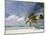 Bora-Bora, Leeward Group, Society Islands, French Polynesia Islands-Sergio Pitamitz-Mounted Photographic Print