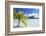 Bora Bora, Society Islands, French Polynesia, South Pacific, Pacific-Ian Trower-Framed Photographic Print