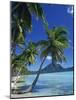 Bora Bora, Tahiti, Society Islands, French Polynesia, Pacific Islands, Pacific-Mawson Mark-Mounted Photographic Print