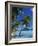 Bora Bora, Tahiti, Society Islands, French Polynesia, Pacific Islands, Pacific-Mawson Mark-Framed Photographic Print