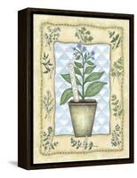 Borage-Robin Betterley-Framed Premier Image Canvas