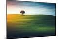 Photographic Print