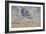 Bord de mer-James Abbott McNeill Whistler-Framed Giclee Print