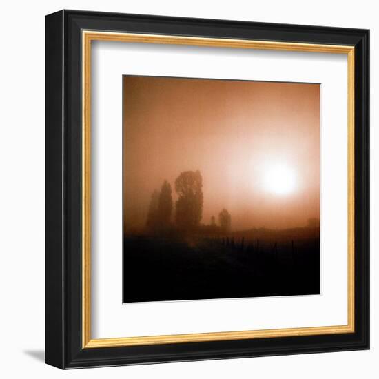 Bordeaux Morning-Richard D'Amore-Framed Art Print