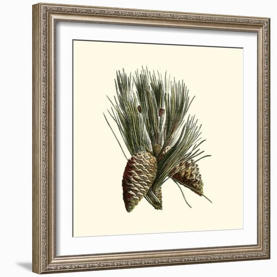 Bordeaux Pine-null-Framed Art Print