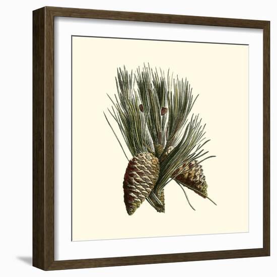 Bordeaux Pine-null-Framed Art Print