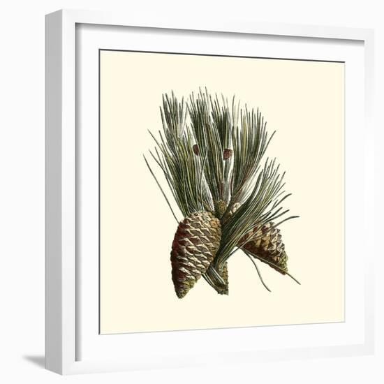 Bordeaux Pine-null-Framed Art Print