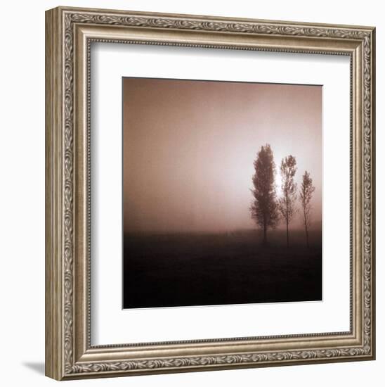 Bordeaux Trees-Richard D'Amore-Framed Art Print