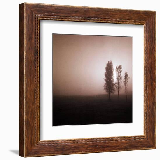 Bordeaux Trees-Richard D'Amore-Framed Art Print