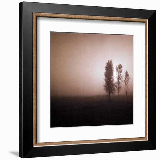 Bordeaux Trees-Richard D'Amore-Framed Art Print