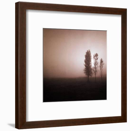 Bordeaux Trees-Richard D'Amore-Framed Art Print