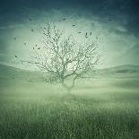 Lonely, Bare Tree in Middle of Foggy Field with Birds Flying Around-Bordeianu Andrei-Photographic Print