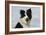 Border Collie 46-Bob Langrish-Framed Photographic Print