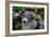 Border Collie 51-Bob Langrish-Framed Photographic Print