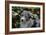 Border Collie 51-Bob Langrish-Framed Photographic Print