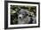 Border Collie 51-Bob Langrish-Framed Photographic Print