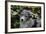 Border Collie 51-Bob Langrish-Framed Photographic Print