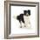 Border Collie Bitch Running-Mark Taylor-Framed Photographic Print