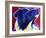 Border Collie - Bright Future-Dawgart-Framed Giclee Print