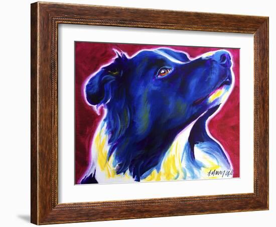 Border Collie - Bright Future-Dawgart-Framed Giclee Print