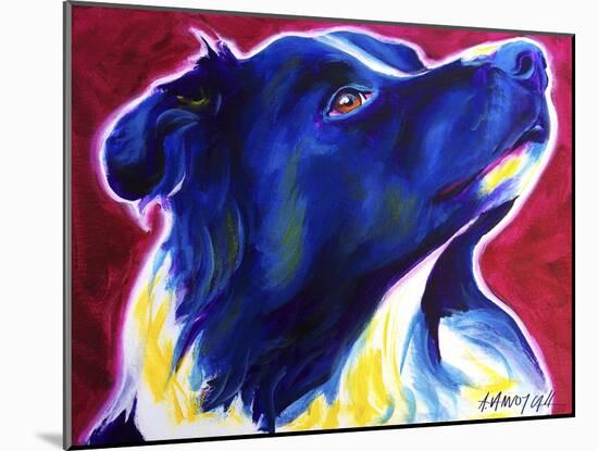 Border Collie - Bright Future-Dawgart-Mounted Giclee Print