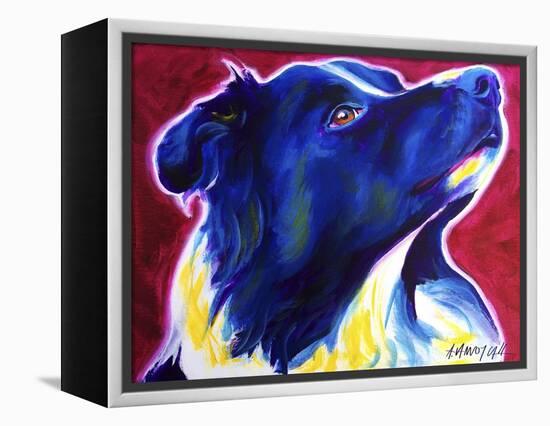 Border Collie - Bright Future-Dawgart-Framed Premier Image Canvas