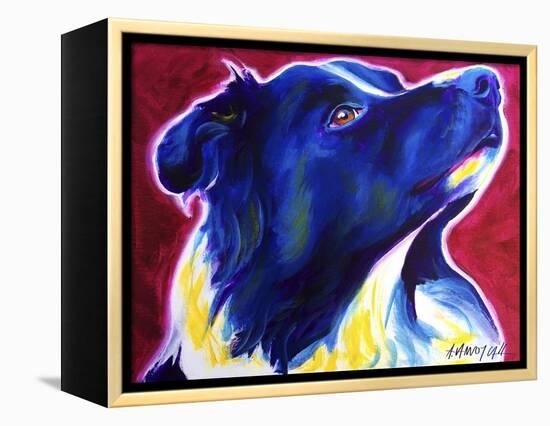 Border Collie - Bright Future-Dawgart-Framed Premier Image Canvas