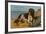 Border Collie Dog on Beach-American School-Framed Giclee Print