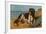 Border Collie Dog on Beach-American School-Framed Giclee Print