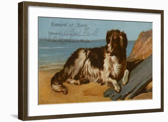 Border Collie Dog on Beach-American School-Framed Giclee Print